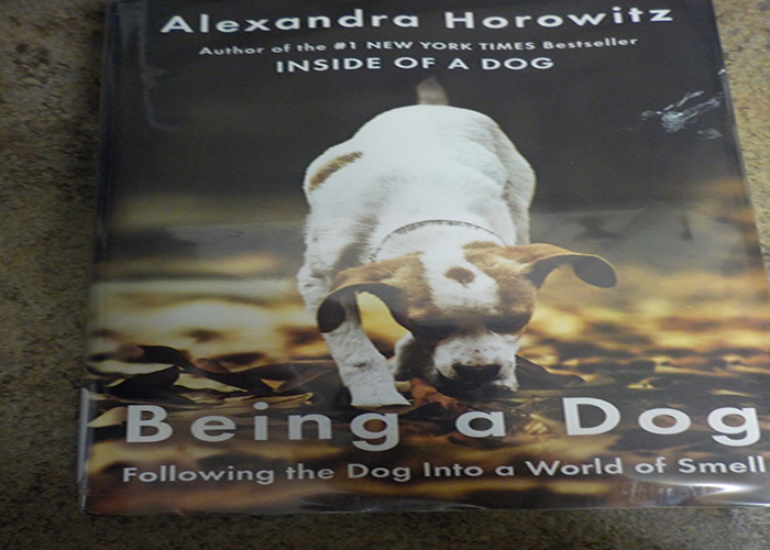 being a dog horowitz