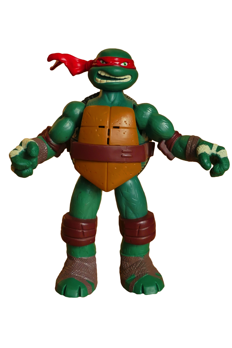 ninja-turtle.png – The Adventures of Auntie Awesome